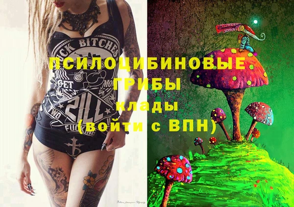 spice Медногорск