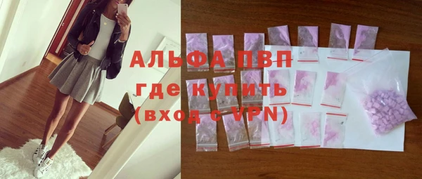 шишки Медвежьегорск