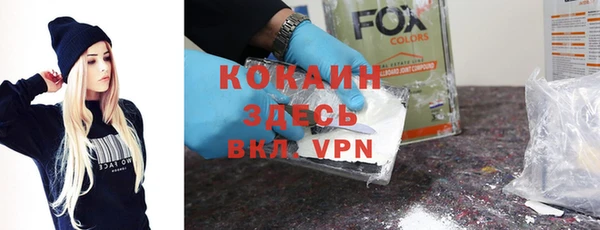 шишки Медвежьегорск