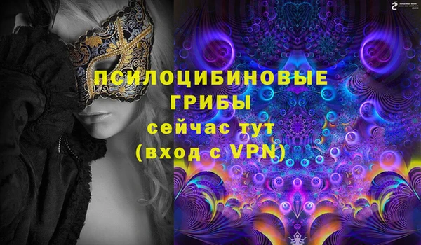 шишки Медвежьегорск