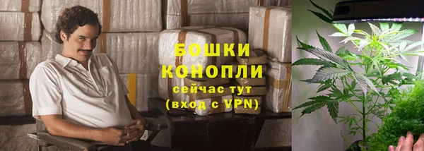 шишки Медвежьегорск