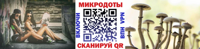 Псилоцибиновые грибы мицелий  даркнет сайт  Новоалтайск 